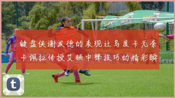 键盘侠谢泼德的表现让乌度卡无奈卡佩拉传授艾顿中锋技巧的精彩瞬间